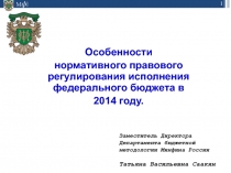 Особенности нормативного правового регулирования исполнения бюджета 