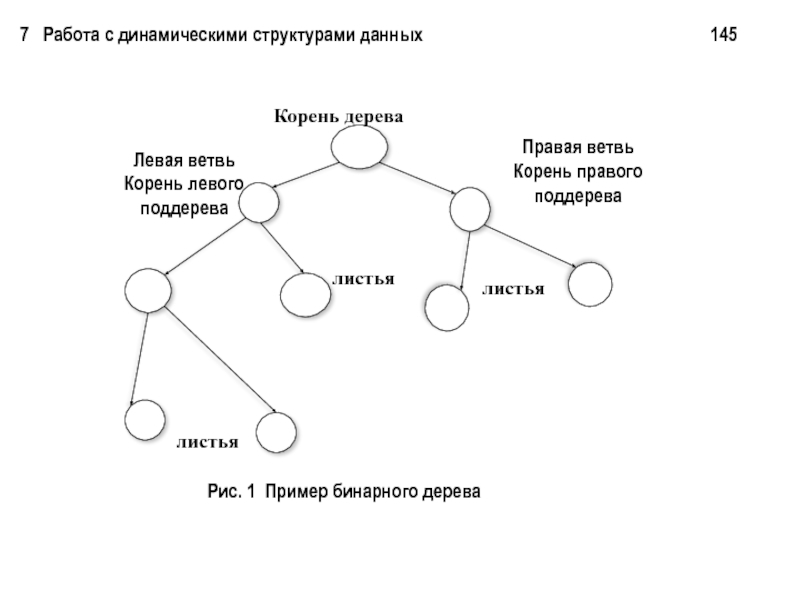 Изображенная на рисунке структура данных называется. Бинарное дерево структура данных. Листья бинарного дерева. Дерево (структура данных). Корень бинарного дерева.