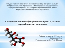 Значение пентозофосфатного пути в разные периода жизни человека