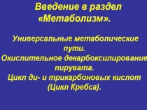 Метаболизм 