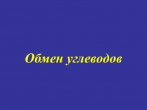 Обмен углеводов