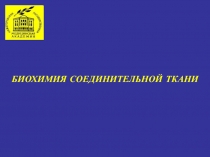 БИОХИМИЯ СОЕДИНИТЕЛЬНОЙ ТКАНИ