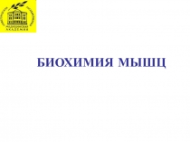 мышцы