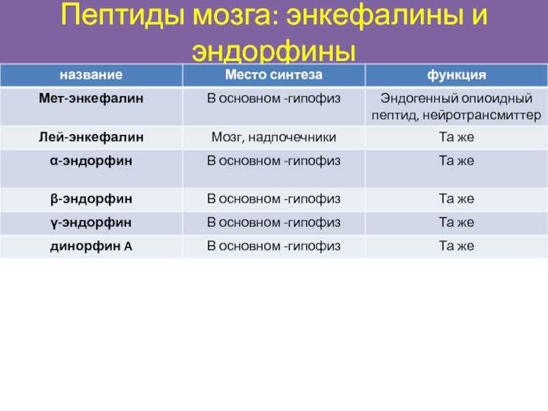 Мозговой пептид