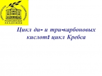 Цикл ди и три карбоновых кислот 