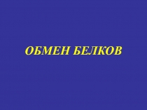 Обмен белков_пед.ppt