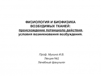 ПРОИСХОЖДЕНИЕ ПОТЕНЦИАЛА ПРОИСХОЖДЕНИЕ ПОТЕНЦИАЛА ДЕЙСТВИЯ