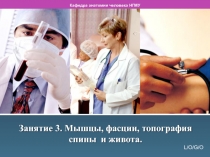 Мышцы, фасции, топография спины и живота. Кафедра анатомии человека