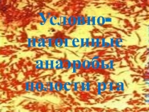 Зан Анаэробы стом.ppt
