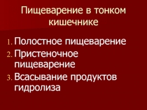 Пищеварение в тонком кишечнике 