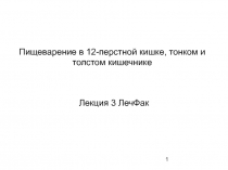 Пищеварение в 12-перстной кишке, тонком и толстом кишечнике
