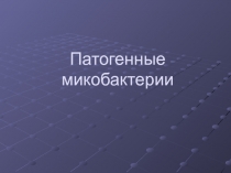 Патогенные микобактерии