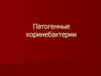 Патогенные коринебактерии 