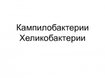 Кампилобактерии, хеликобактерии