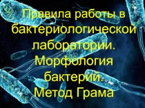 Правила работы в бак. лаборатории. Метод Грама