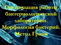 Организация работы бактериологической лаборатории. Морфология бактерий. Метод Грама