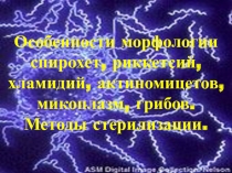 Особенности морфологии спирохет, риккетсий, хламидий, актиномицетов, микоплазм, грибов. Методы стерилизации.
