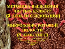 Микрофлора ротовой полости