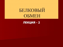 Белки 2