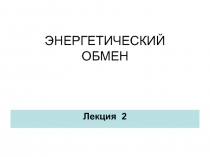 Энергообмен 2