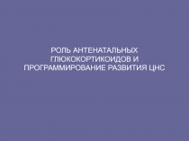 РОЛЬ АНТЕНАТАЛЬНЫХ ГЛЮКОКОРТИКОИДОВ И ПРОГРАММИРОВАНИЕ РАЗВИТИЯ ЦНС