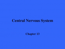 Central Nervous System