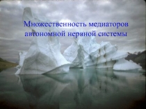 Медиаторы ВНС 