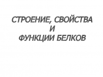 Строение и свойства белков 