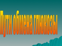 Обмен углеводов
