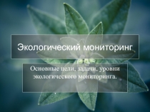 экологический Мониторинг