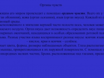 анализаторы 