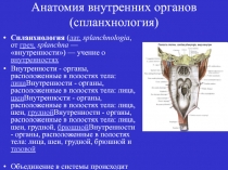 Спланхнология