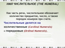 ИMЯ ЧИСЛИТЕЛЬНОЕ (THE NUMЕRAL) 