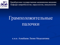 Грамположительные палочки