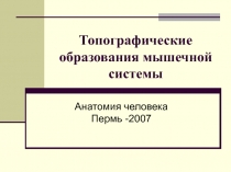 Топографические образования мышечной системы Анатомия человека