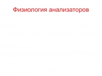 Физиология анализаторов