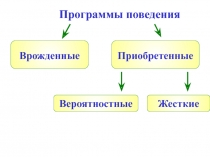 Сон, программы поведения.ppt