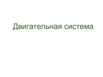 Двигательная система