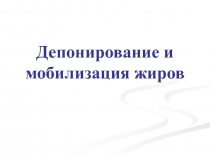 2депо и мобил жиров.ppt