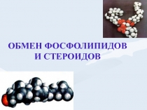 фосфолипиды и холестерин2.ppt