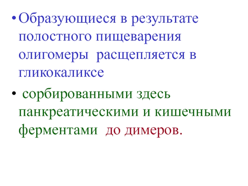 Система кормлений. В результате полостного пищеварения образуются.