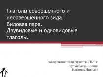 Глаголы совершенного и несовершенного вида. Видовая пара. Одновидовые и двувидовые глаголы 