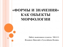 Формы и значения как объекты изучения морфологии 