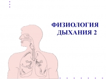 ФИЗИОЛОГИЯ ДЫХАНИЯ 2
