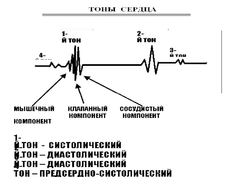 Цикл экг