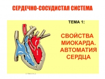 СВОЙСТВА МИОКАРДА. АВТОМАТИЯ СЕРДЦА