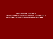  Гиалоплазма 