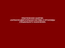  Каркасно-двигательная система и органоиды специального назначения 
