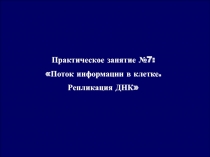 Поток информации в клетке 