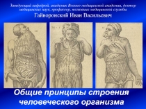 Общие принципы строения человеческого организма